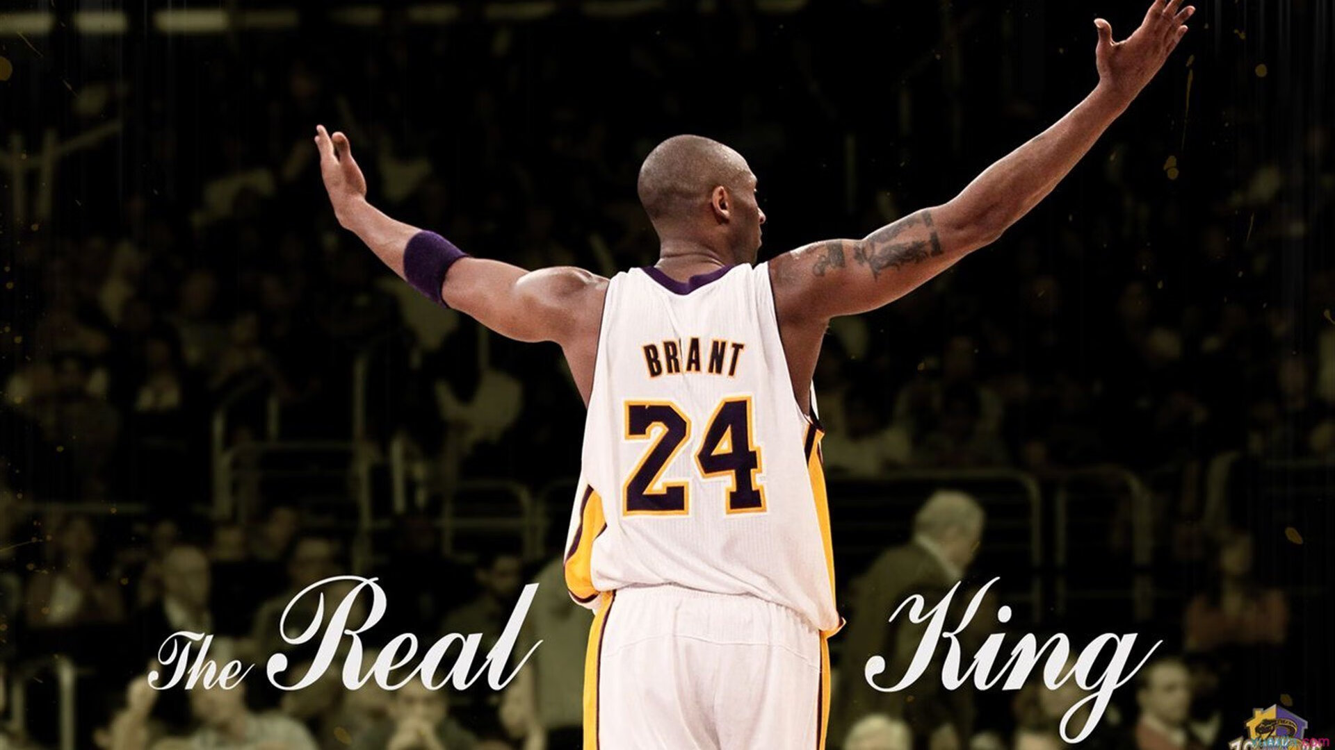 体育产业迎来黄金发展期,政策红利与市场需求双轮驱动